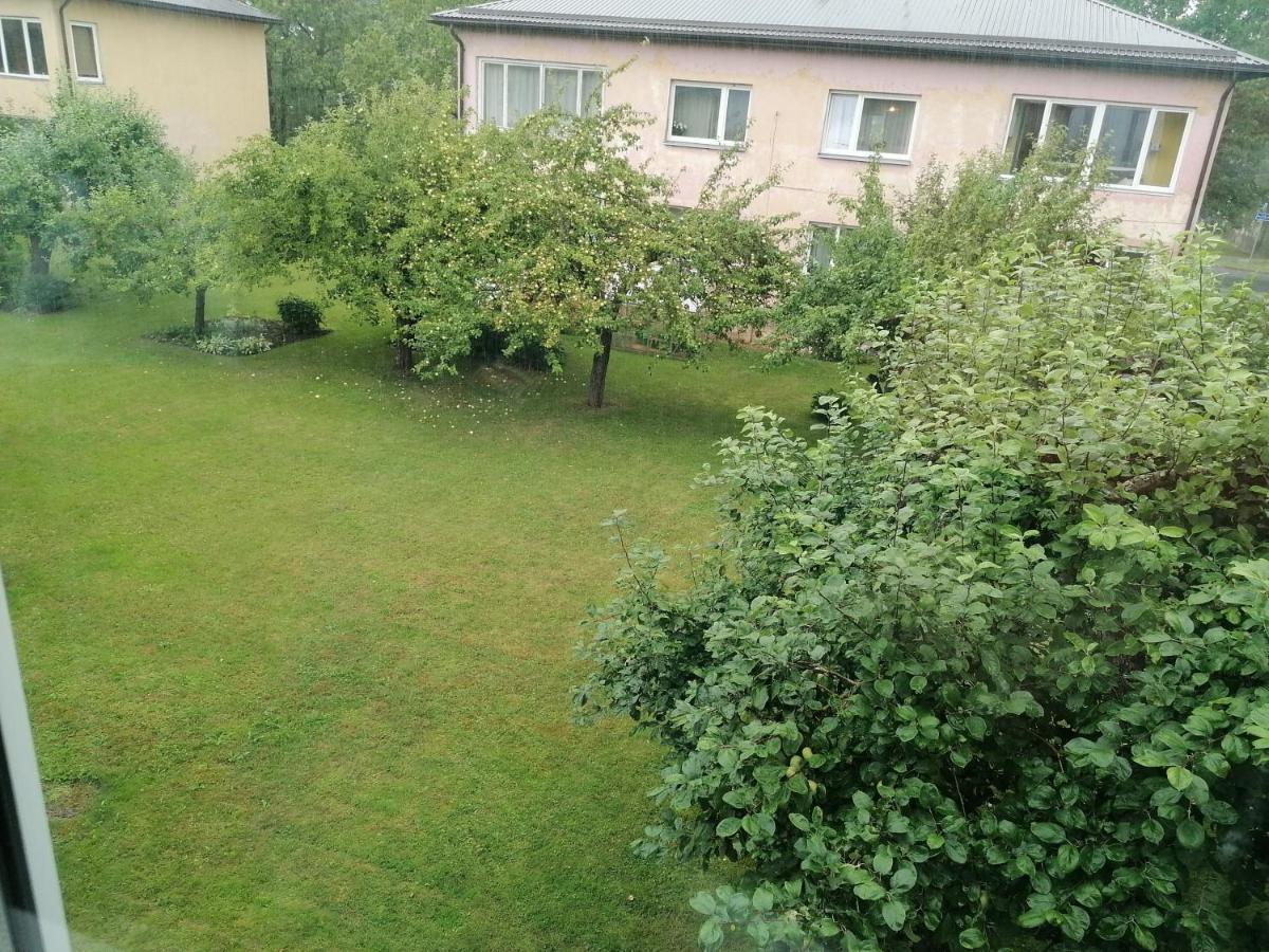 Apartment Ilmatsalu *